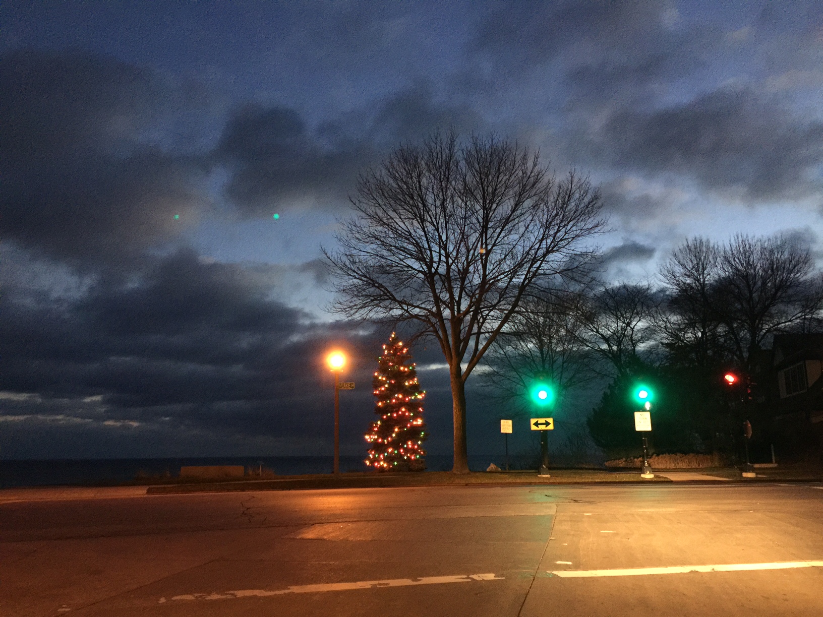 Christmas tree by lake